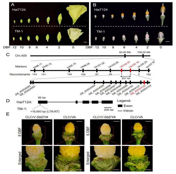 //mmbiz.qpic.cn/mmbiz_png/mvLP8HkvTxRBwc85Ht9fdY5GVmqMCgaTjp3tuOIaBvjQHazibkWibcI4z6iaGssOMVM6iaXictSiaribUI0trPCibXRb8A/640?wx_fmt=png&from=appmsg